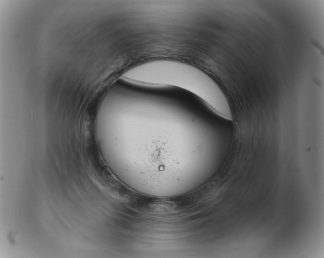 X0000103280215200809121952