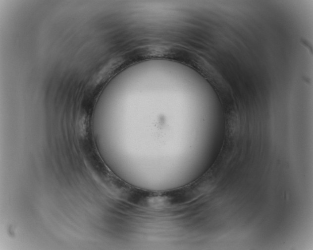 X0000103280216200809121952