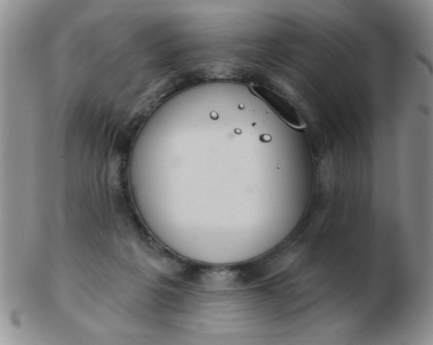 X0000103280217200809121952