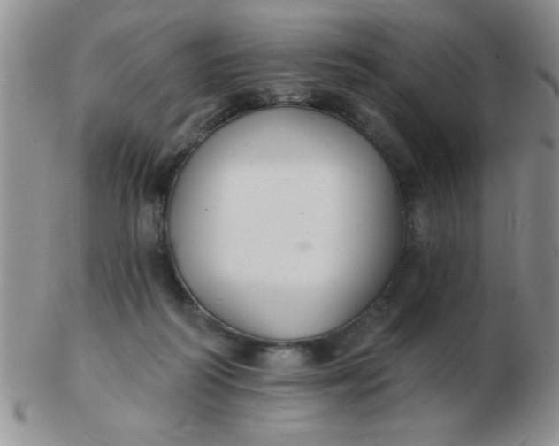 X0000103280218200809121952