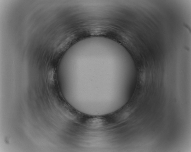 X0000103280219200809121952