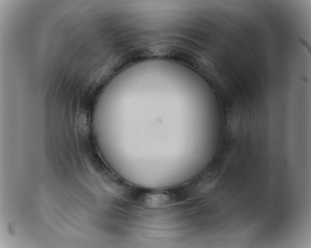 X0000103280220200809121952