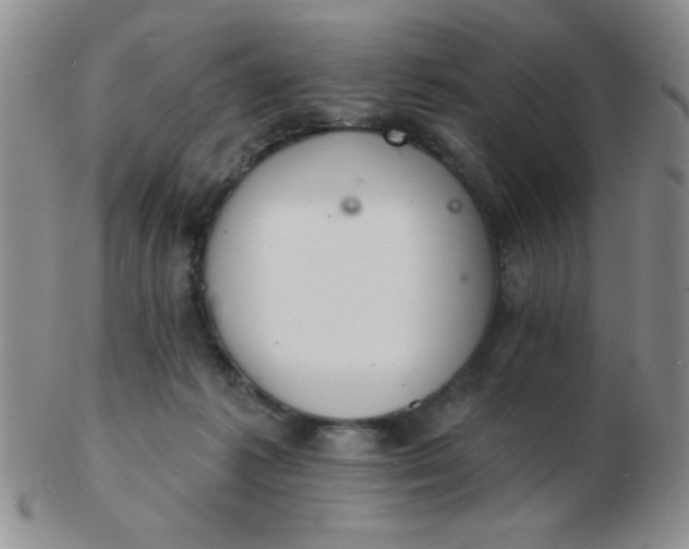 X0000103280221200809121952