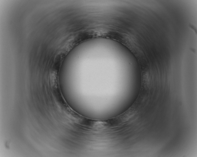 X0000103280222200809121952