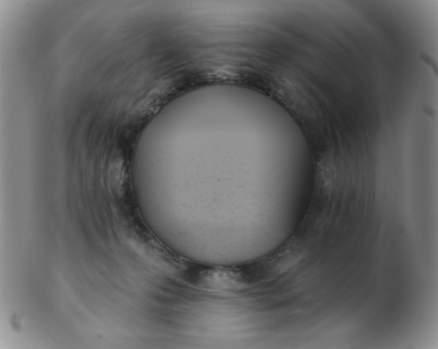 X0000103280223200809121952