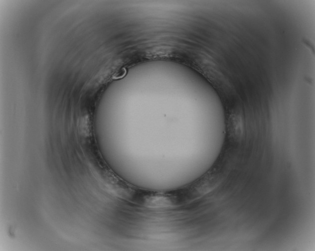 X0000103280224200809121952