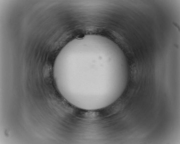 X0000103280225200809121952