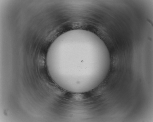 X0000103280226200809121952