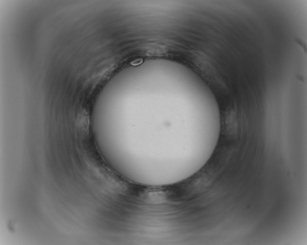 X0000103280228200809121952