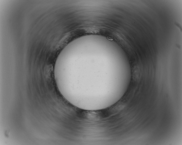 X0000103280229200809121952