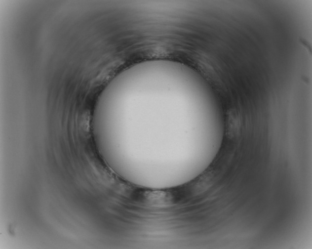 X0000103280230200809121952