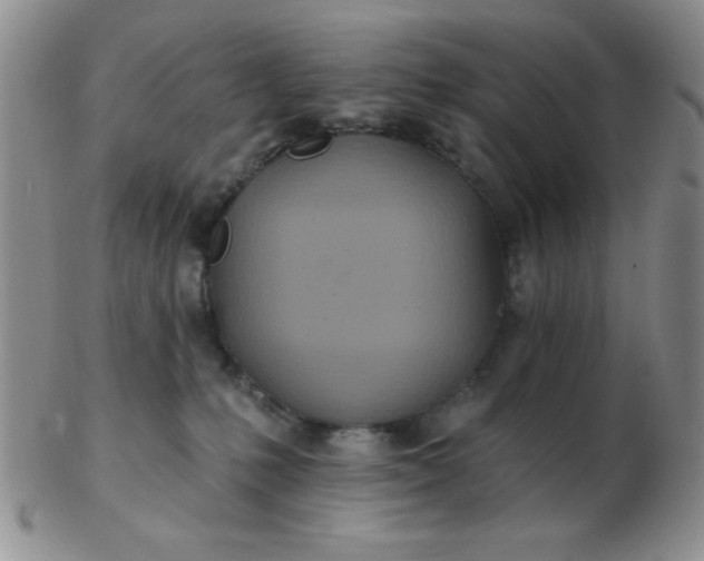 X0000103280231200809121952