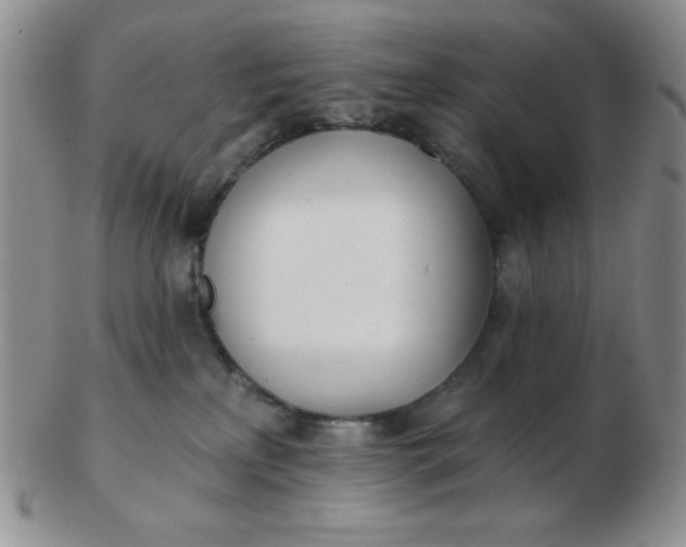 X0000103280233200809121952