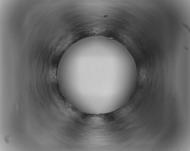 X0000103280236200809121952