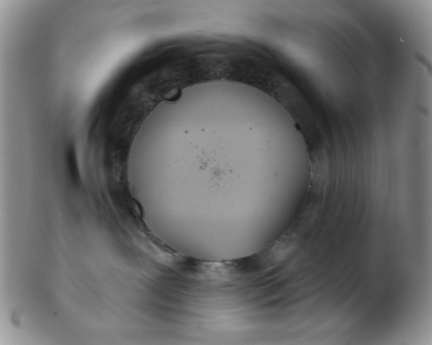 X0000103280239200809121952