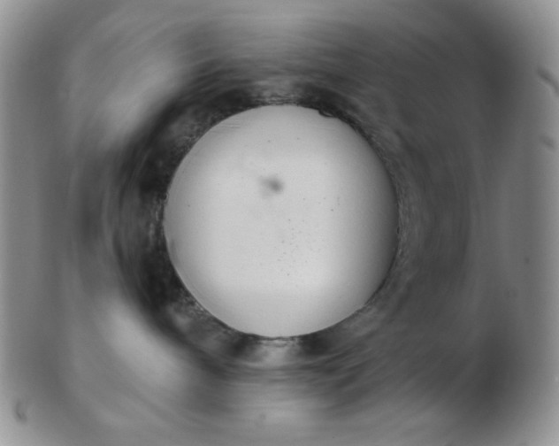 X0000103280240200809121952