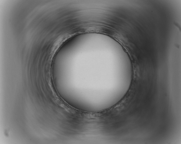 X0000103280241200809121951