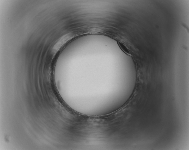 X0000103280242200809121951