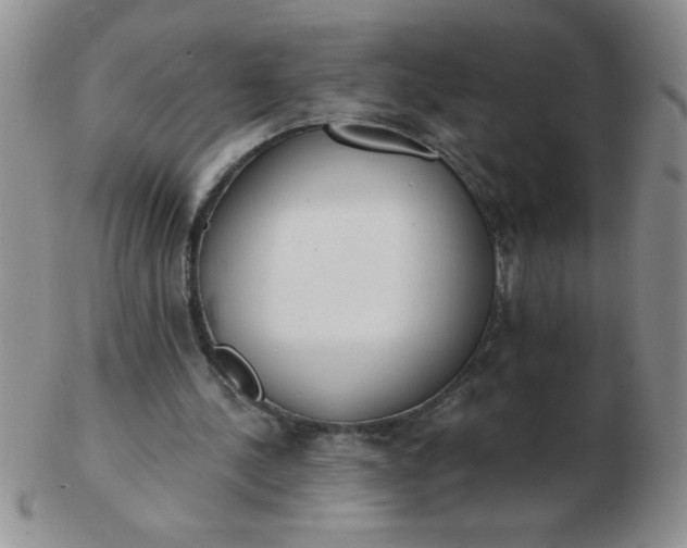 X0000103280244200809121951