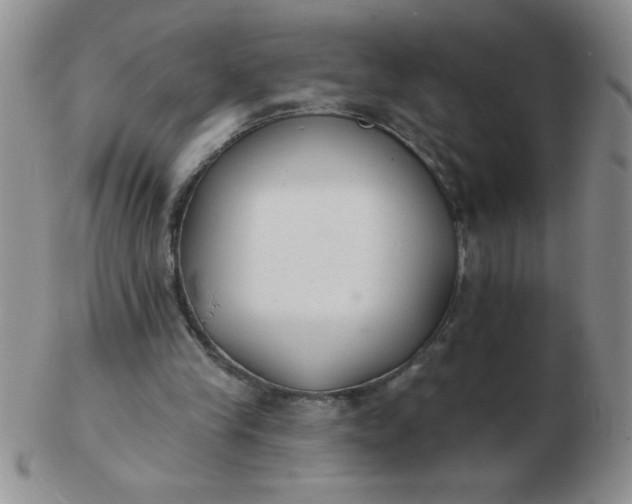 X0000103280245200809121951