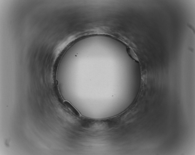 X0000103280248200809121951