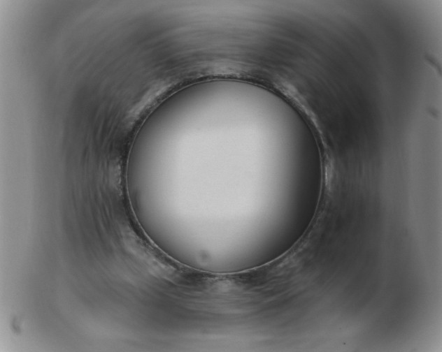 X0000103280249200809121951