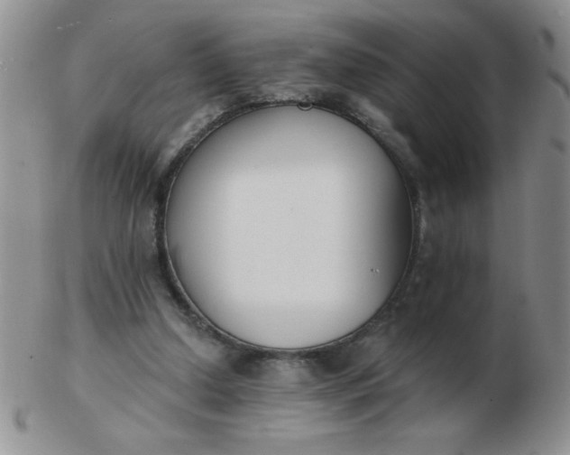 X0000103280250200809121951