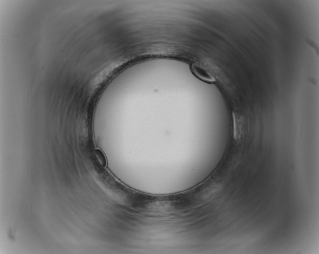 X0000103280252200809121951