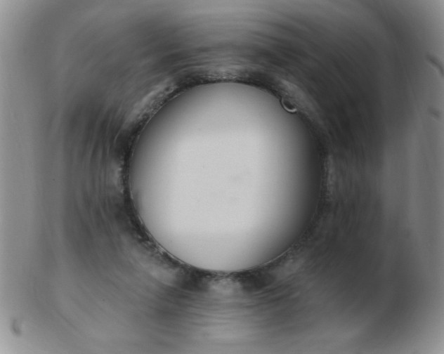 X0000103280258200809121951