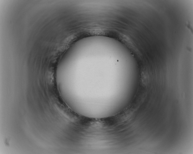 X0000103280259200809121951