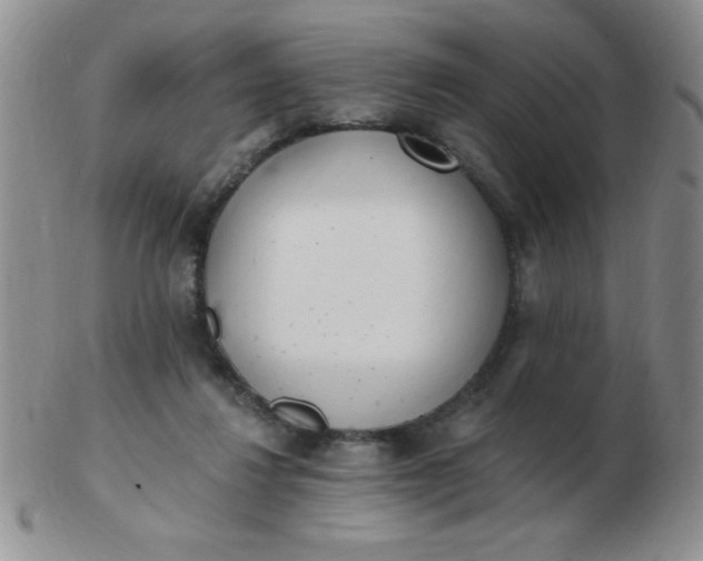 X0000103280260200809121951