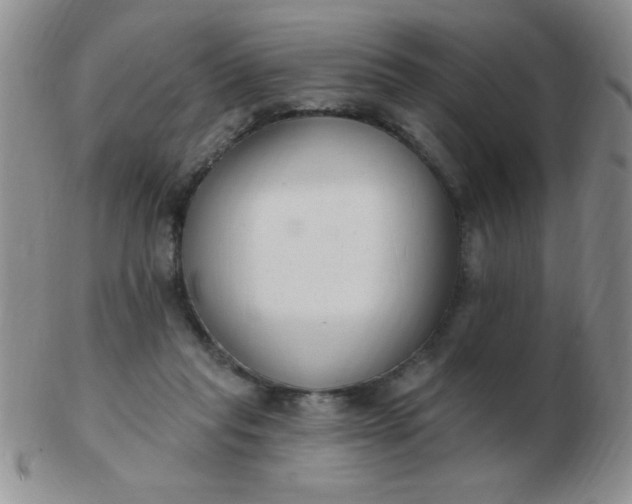 X0000103280261200809121951