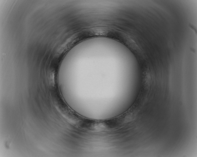 X0000103280262200809121951