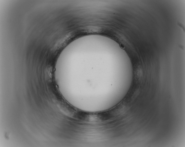 X0000103280264200809121951