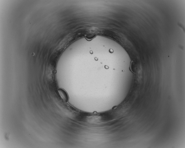 X0000103280266200809121952