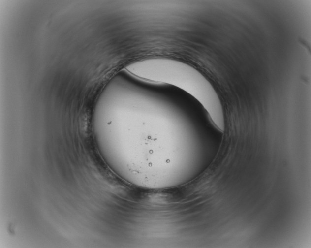 X0000103280268200809121952