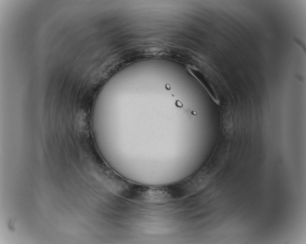 X0000103280270200809121952