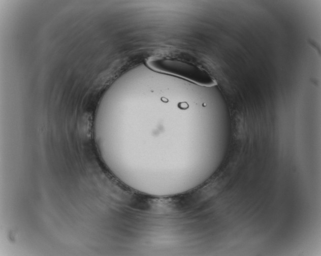 X0000103280273200809121952