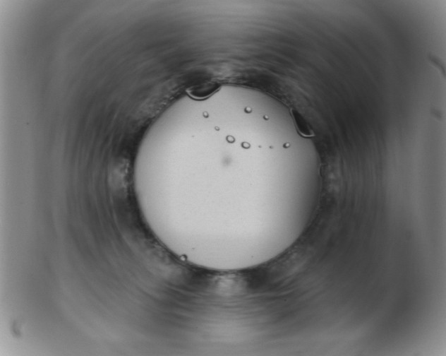 X0000103280275200809121952