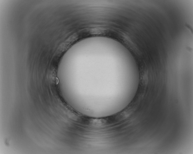 X0000103280277200809121952