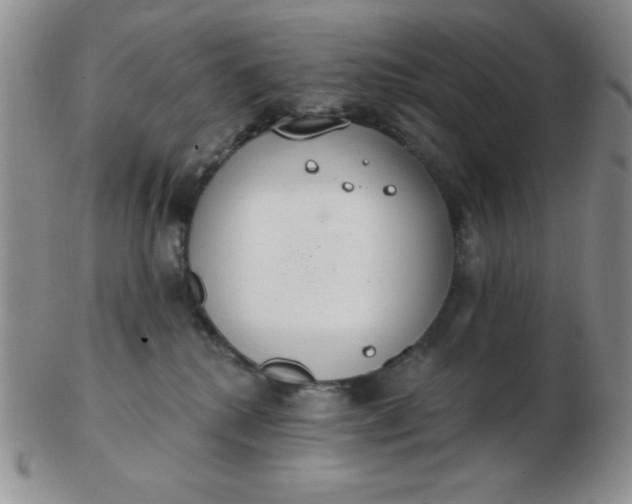 X0000103280280200809121952