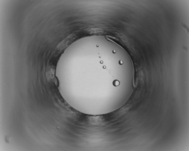 X0000103280281200809121952