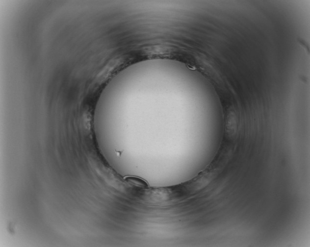 X0000103280282200809121952