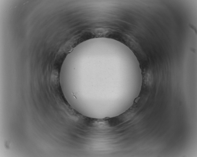 X0000103280283200809121952