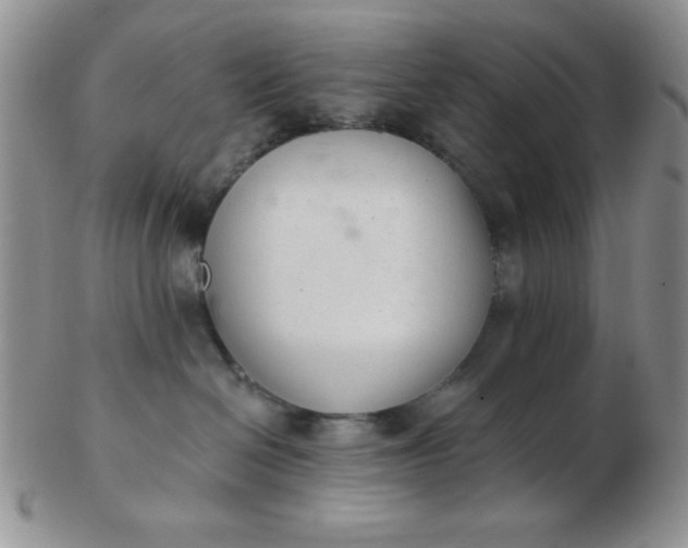 X0000103280286200809121952