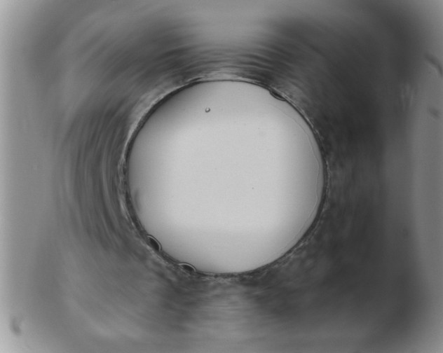 X0000103280289200809121951