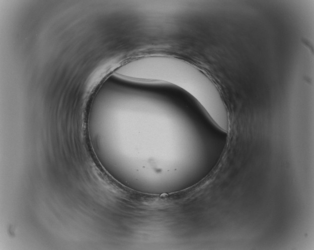 X0000103280293200809121951