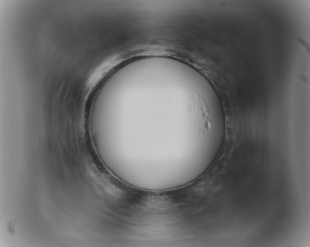 X0000103280296200809121951