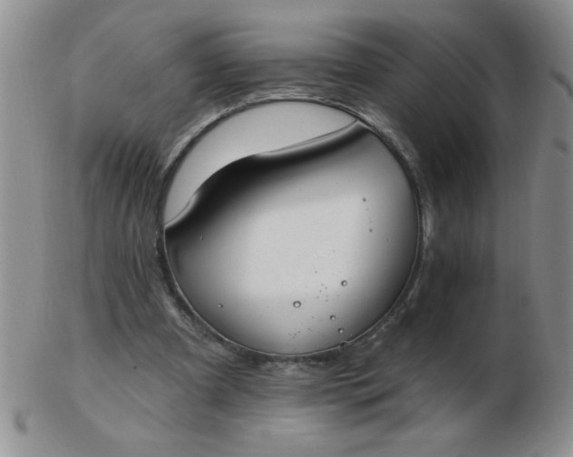 X0000103280297200809121951