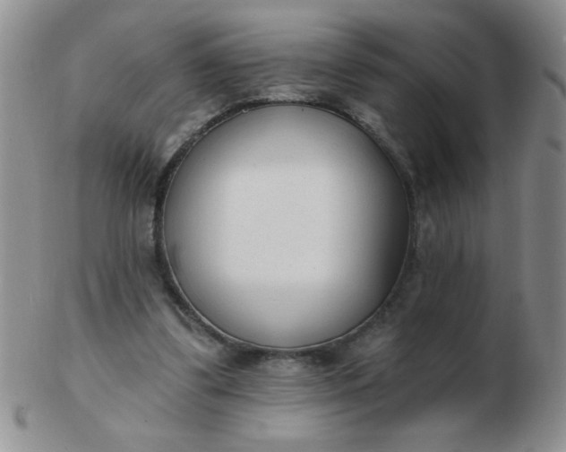 X0000103280299200809121951